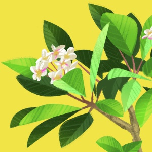 La felicità mette radici, con Marco Ippolito scopriamo i retroscena del suo libro La felicità mette radici, con Marco Ippolito scopriamo i retroscena del suo libro