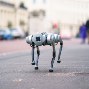 Robot: dagli assistenti umanoidi alla medicina, la Cina domina il mercato Robot: dagli assistenti umanoidi alla medicina, la Cina domina il mercato
