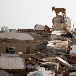 Venezuela in ginocchio dopo il terremoto. 50 mila dispersi, oltre 500 le vittime