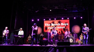 Brian Wilson, uno degli artefici dei Beach Boys soffre di demenza, chiesta la custodia legale