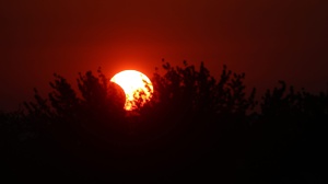 Domani l’eclissi parziale di Sole, ecco quando e dove vederla
