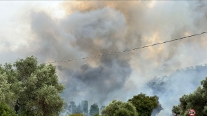 Emergenza incendi in Italia, oltre 56.000 ettari distrutti in sette mesi, cresce la minaccia alle aree protette