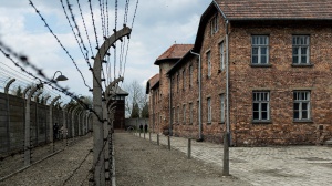 Giorno della Memoria. L'abisso della Shoah e l'allarme nelle città per le manifestazioni pro-Palestina