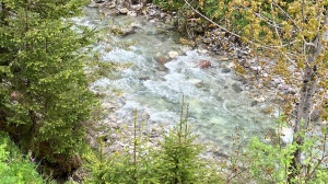 Giro d'Italia: sul fiume Piave, nel cuore della Storia