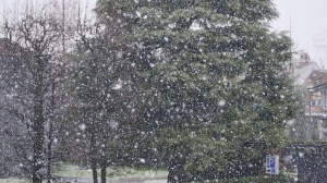 Il week end più freddo: venti gelidi al Sud e neve in collina
