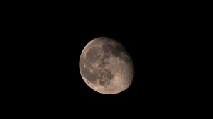 La Luna potrebbe nascondere preziose riserve di platino nei suoi crateri, lo mette in evidenza uno studio