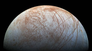 La scienza e le sue previsioni per il 2024, tra Intelligenza artificiali, caldo record e le elezioni