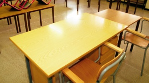 Ladispoli, sospeso il preside che aveva allontanato un bambino iperattivo. "Farò ricorso"