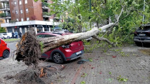 Maltempo, un ciclone simil-tropicale porta vento, pioggia e neve su gran parte dell'Italia. Danni ingenti all'agricoltura