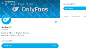 OnlyFans: controlli su 4 content creator, evasi oltre 240mila euro