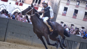 Palio di Siena, stasera alle 19.30 la tradizionale giostra equestre