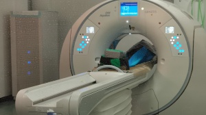 Radiologo salva la sua gattina dopo avere fatto un tac in ospedale, la procura di Aosta apre un fascicolo
