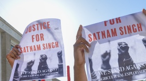 Morte di Satnam Singh, arrestato il titolare dell'azienda agricola di Latina