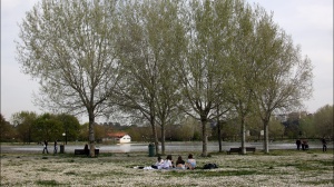 Si allunga di 45 giorni il periodo delle allergie, complice il cambiamento climatico, la nostra salute ne risente maggiormente