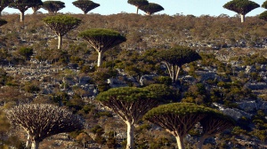 Socrota: aeroporto chiuso, 650 turisti, un centinaio italiani, bloccati sull'isola da giorni