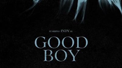 Alice nella città 2025, Good Boy: trama, curiosità d recensione del film d’apertura