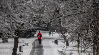Belluno: undicenne sale sull'autobus con il bìglietto sbagliato, fatto scendere cammina per sei chilometri sotto la neve