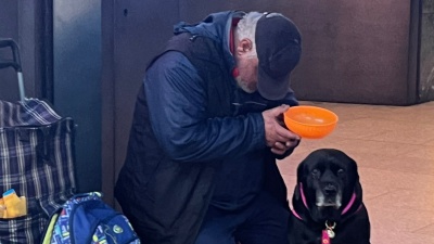 Contrasto del racket che sfrutta gli animali, raggiunto il quorum delle firme per la proposta di legge di iniziativa popolare