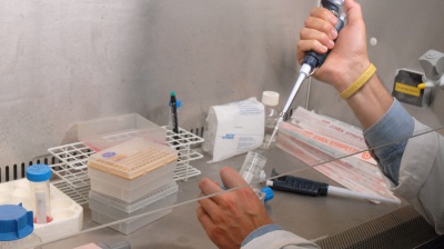 Giornata mondiale della celiachia, il 16 maggio viene dedicato alla malattia che cresce in Italia