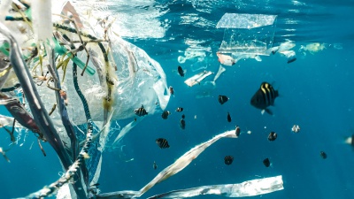 Giornata mondiale dell’ambiente: la plastica arriva nelle arterie