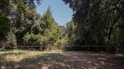 Gli sviluppi del duplice omicidio di Villa Pamphili, Kaufman ha molti precedenti , ancora misteriosi i finanziamenti per i film