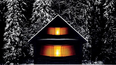 I libri da leggere della settimana, tra “La traditrice”, “Fiori per Algernon”, “Alaska La serie” e “L’orologiaio di Brest”