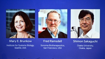 Nobel per la Medicina a Mary E. Brunkow, Fred Ramsdell e Shimon Sakaguchi. Per aver scoperto le cellule "guardiane" del sistema immunitario