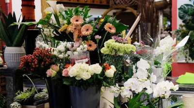 Oggi domenica 10 maggio si celebra la Festa della Mamma, tra i regali piante, fiori e dolci 