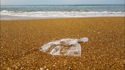 Oggi, domenica 8 giugno, è la Giornata Mondiale degli Oceani 2025, scatta l’allarme overtourism