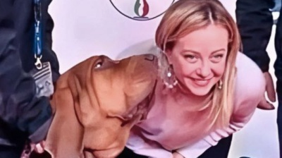 Ucciso nel Centro di addestramento di Taranto il cane Bruno, era stato premiato per aver salvato 9 persone