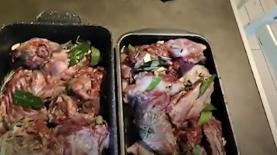 Un sindaco sui social propone il ragù di nutrie, l'ira del prof. Bassetti. Ecco perché può essere pericoloso 