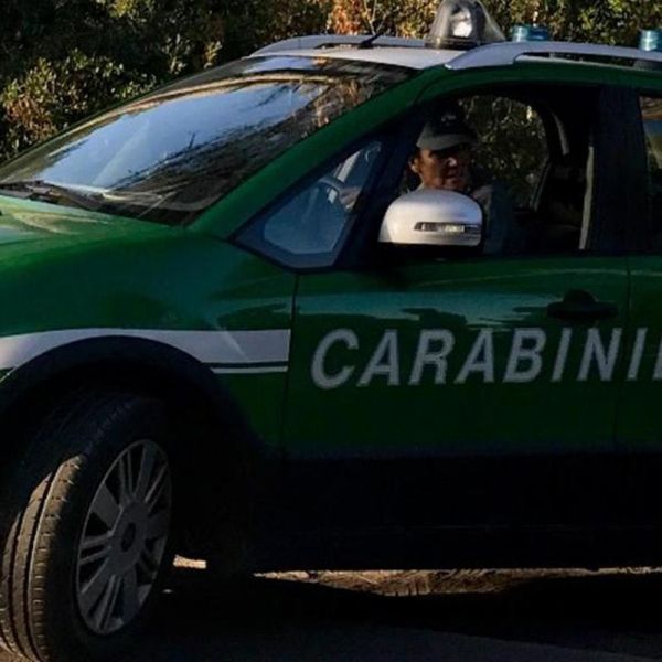 Bosco in fiamme dopo grigliata, 27 milioni di multa