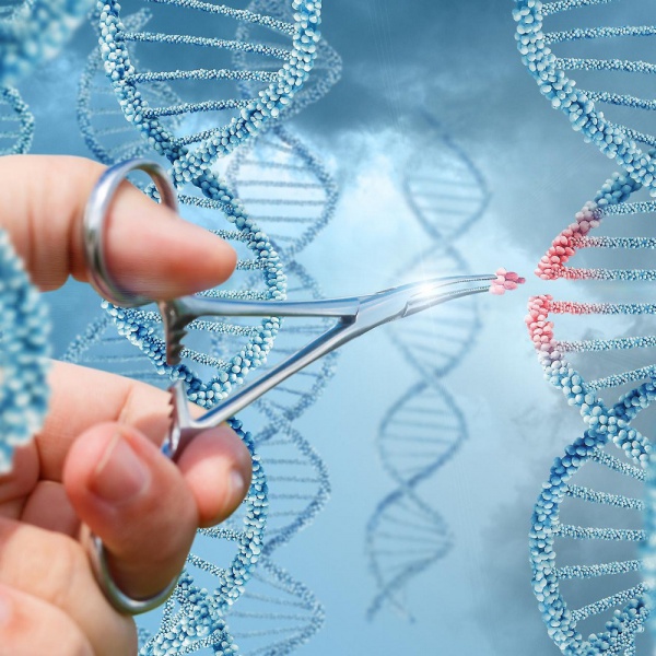 Cina, due gemelle primi esseri umani nati con Dna modificato