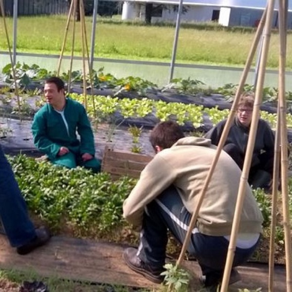 Como, la fattoria sociale gestita da giovani disabili