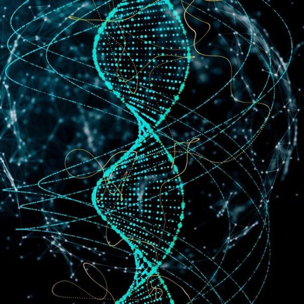 Da Dna italiani dati utili per storia genetica degli europei