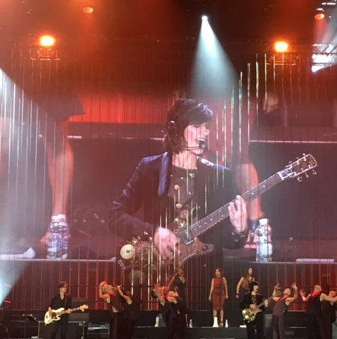 Elisa Live a Verona, un tetris di musica e cuore