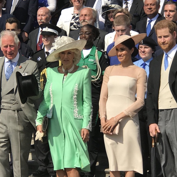 Harry e Meghan, prima apparizione tra api e scherzi