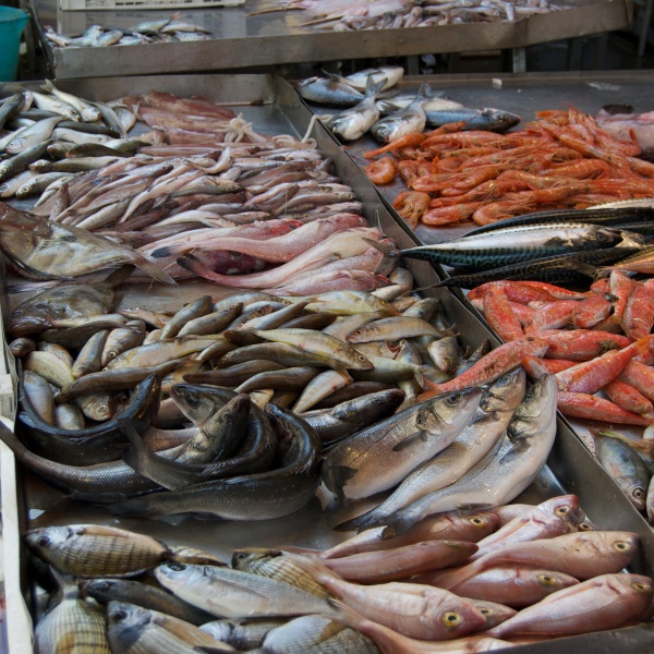 Il pesce di allevamento vale 288 milioni, la trota è superstar