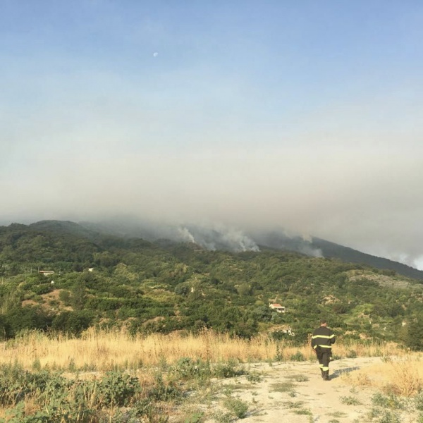 Incendi, emergenza nel Sud Italia