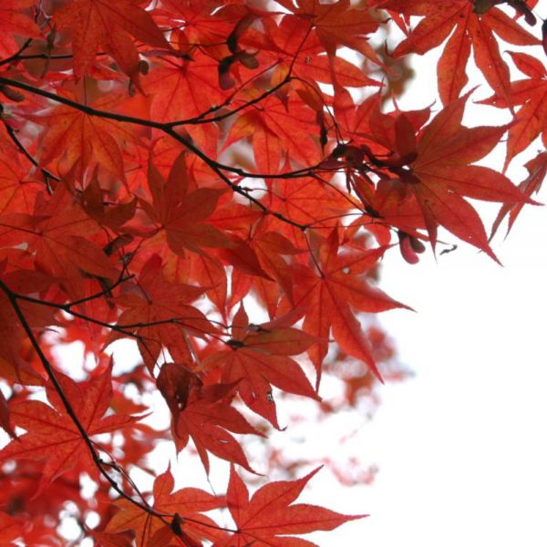 L'autunno bussa alla porta, equinozio con il maltempo