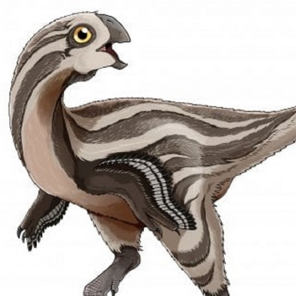 Mongolia, scoperto un nuovo baby dinosauro, è sdentato