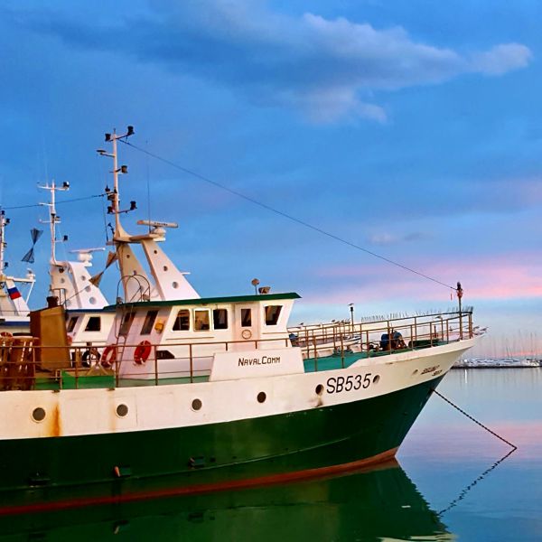 Pesca, termina lo stop nell'Adriatico, pescherecci in mare