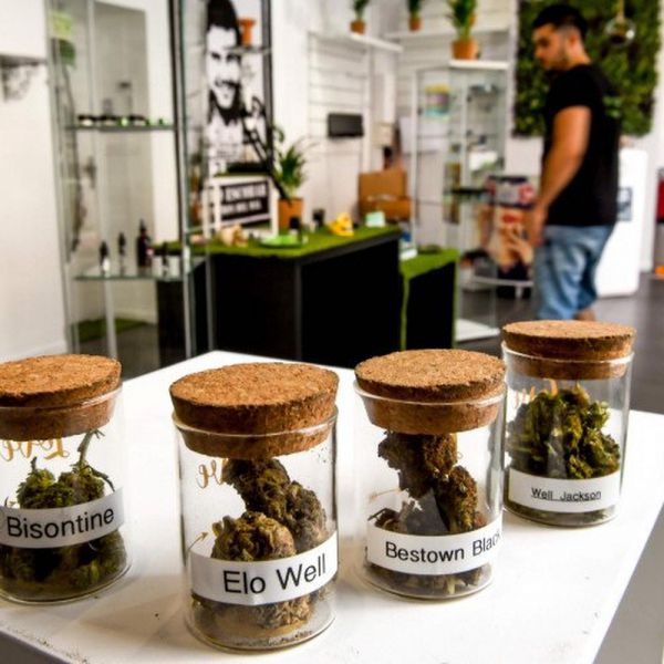 Salvini, chiuderemo tutti i negozi di Cannabis
