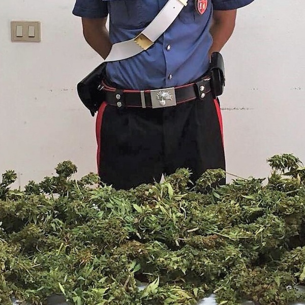Sassari, in auto con 20 chili di droga, arrestato professore