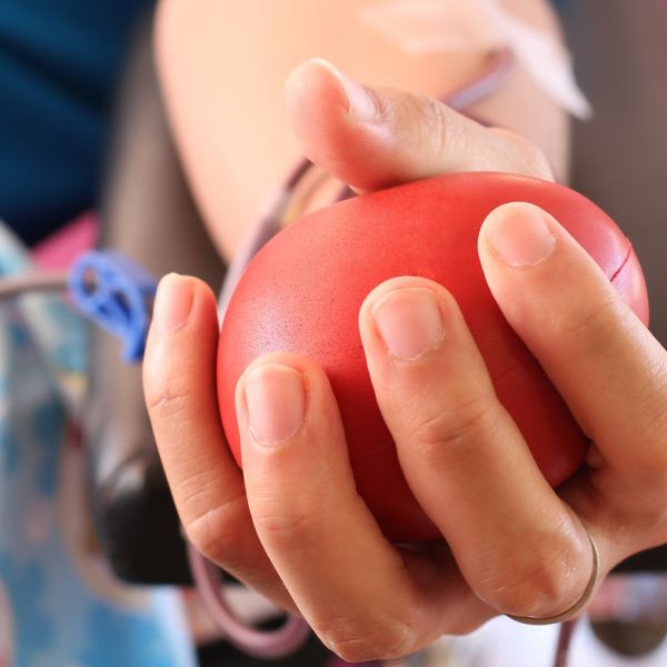 Tornano a salire i donatori di sangue, ma mancano i giovani