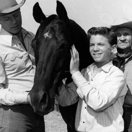 USA, è morto Bobby Diamond, il piccolo Joey della serie Furia
