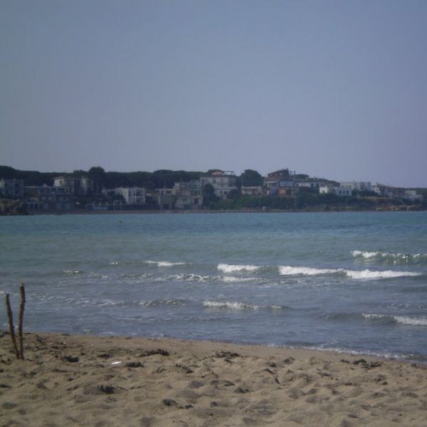 Viterbo, strane punture d'insetto su spiagge