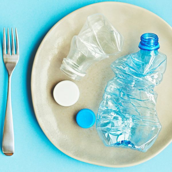 Wwf, ogni settimana mangiamo cinque grammi di plastica