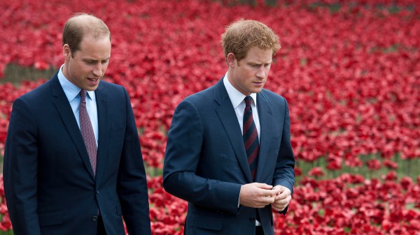 Arriva un nuovo libro sulla frattura Harry-William, in “Battle of the Brothers” si incolpa Meghan