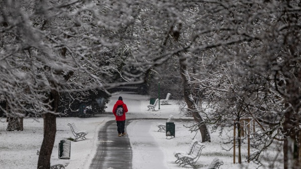 Belluno: undicenne sale sull'autobus con il bìglietto sbagliato, fatto scendere cammina per sei chilometri sotto la neve